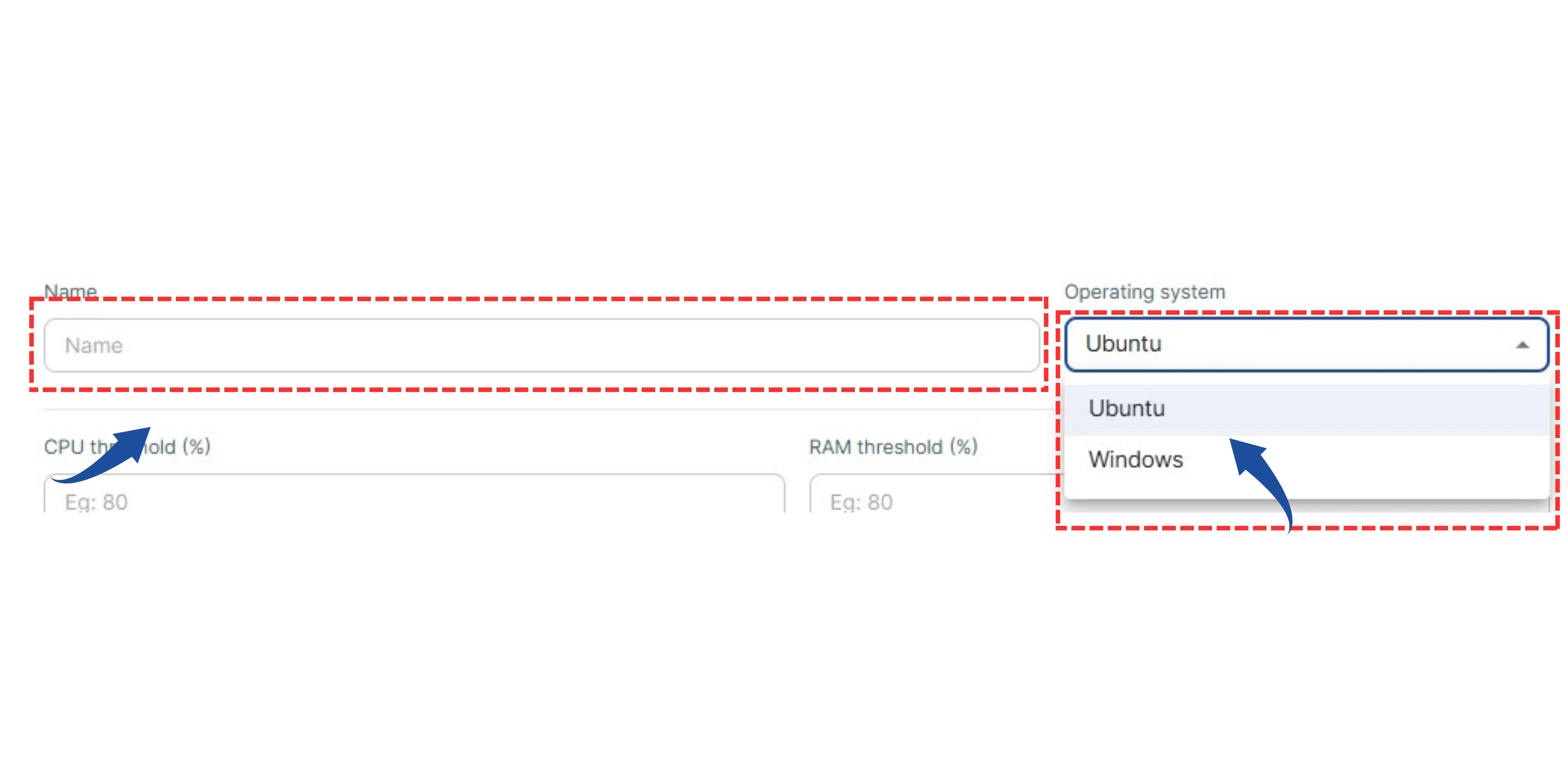 Enter Website Details