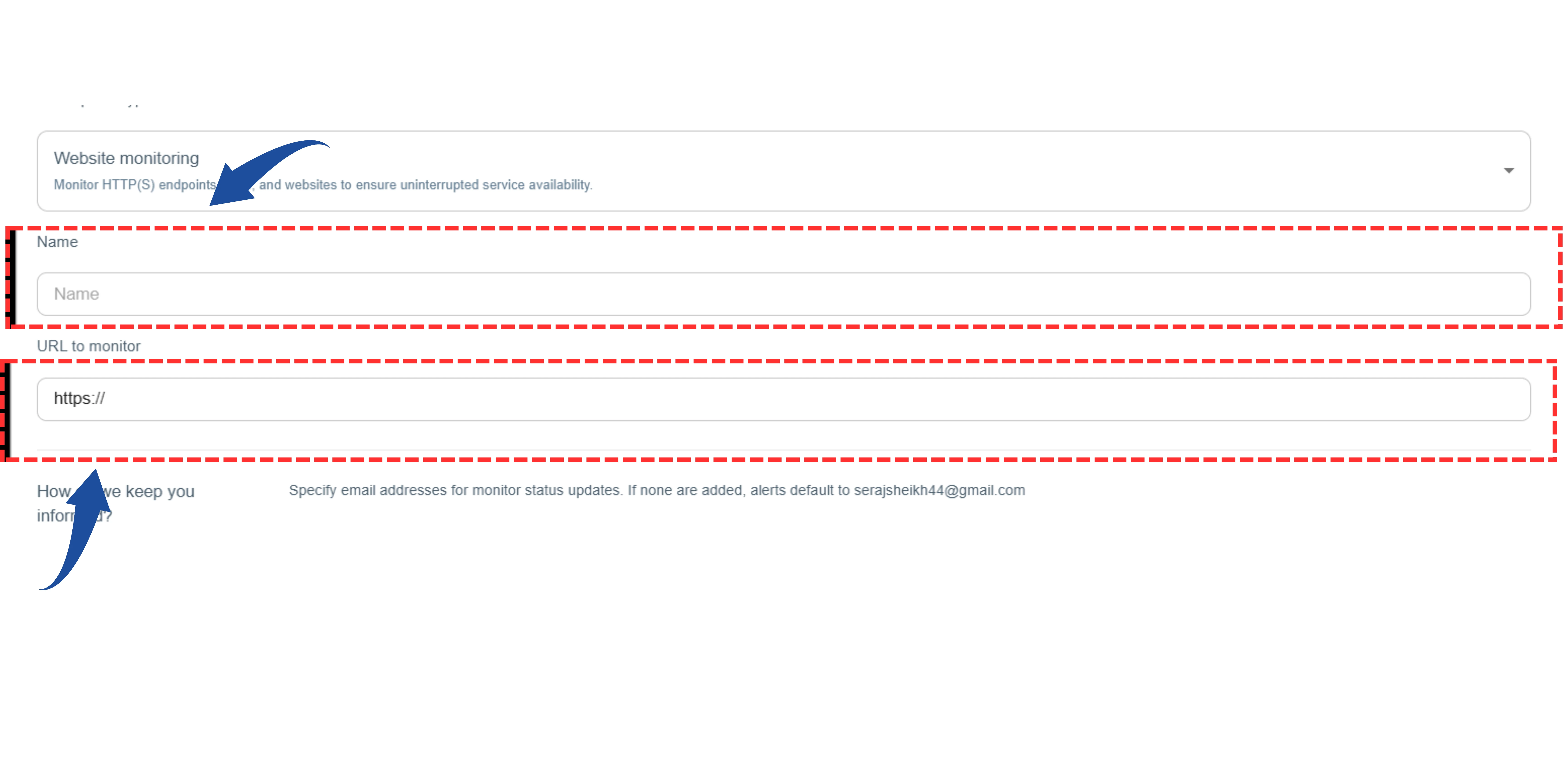 Enter Website Details