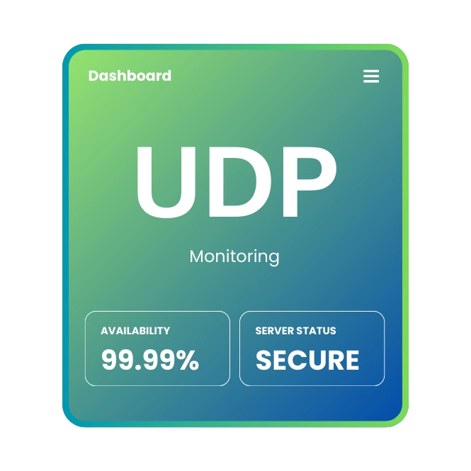 UDP Usage